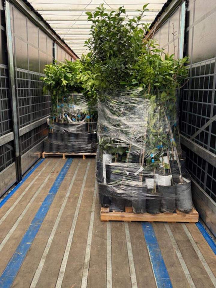 Entreprise de transport de plantes France