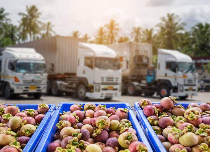 Transport de fruits France